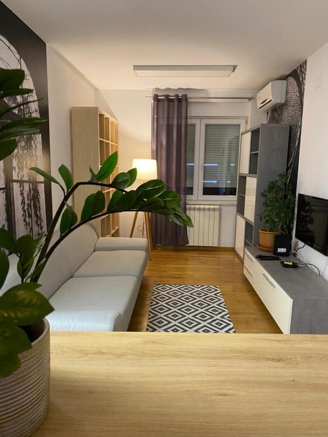 Benvenuti Apartments เบลเกรด ภายนอก รูปภาพ